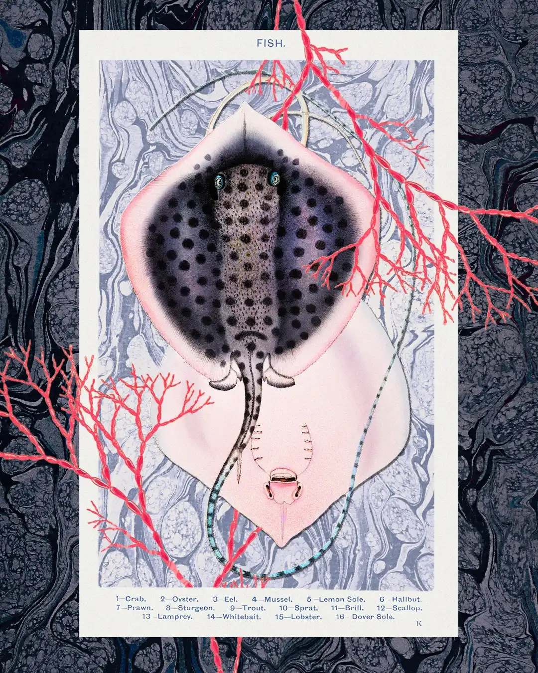 a collage of rays and corol over marbled paper