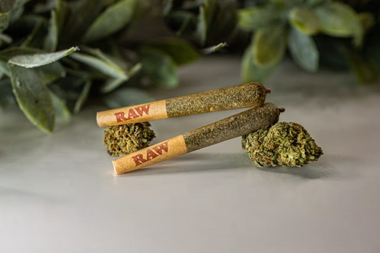 Aesthetic photo of Pure Shenandoah hemp pre-rolls, crafted in Virginia from sun-grown hemp flower.