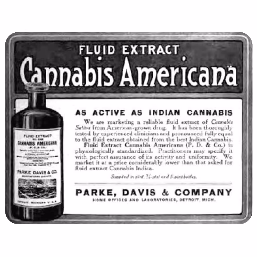In 1850 cannabis was added to the U.S. Pharmacopeia, becoming a mainstream medicine in Western healthcare.
