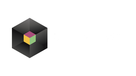 bam analyitix