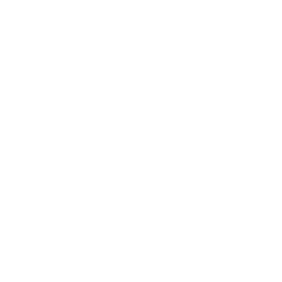 DIRTT