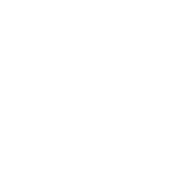 Craig Senyk Initiatives