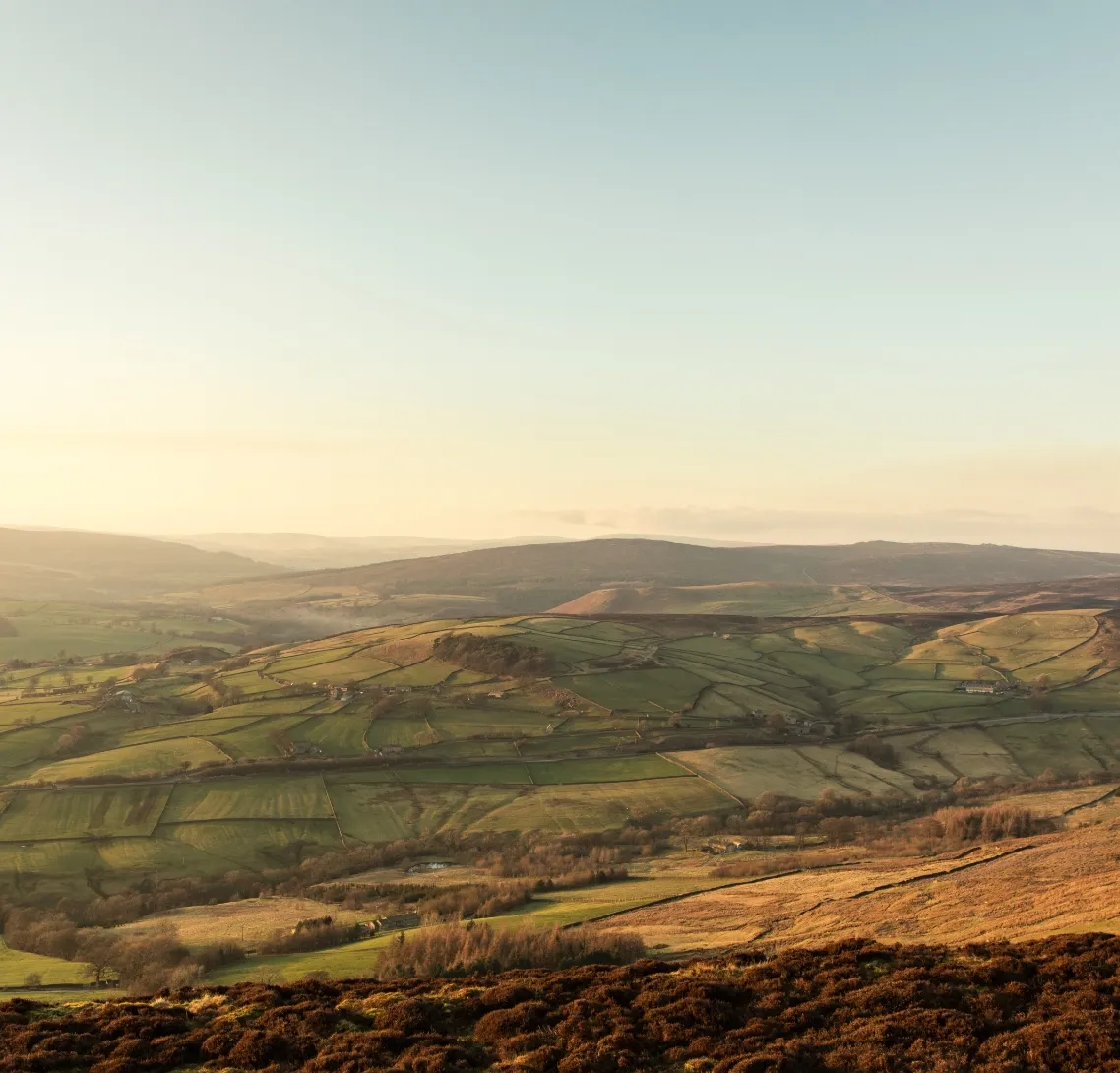 We’re a brand new studio created to help brand new business find their mojo!