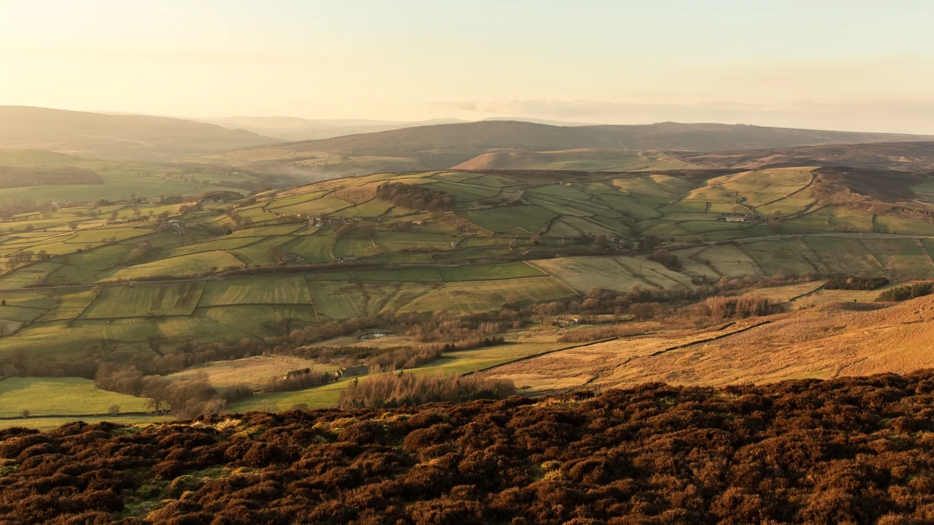 We’re a brand new studio created to help brand new business find their mojo!