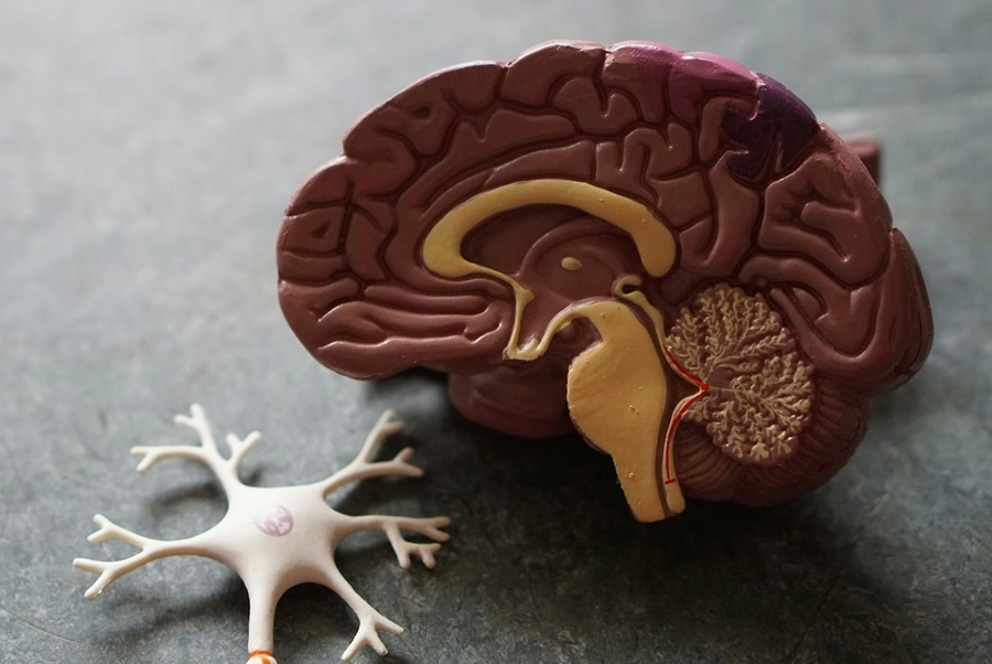 Traumatic brain injuries (TBIs)