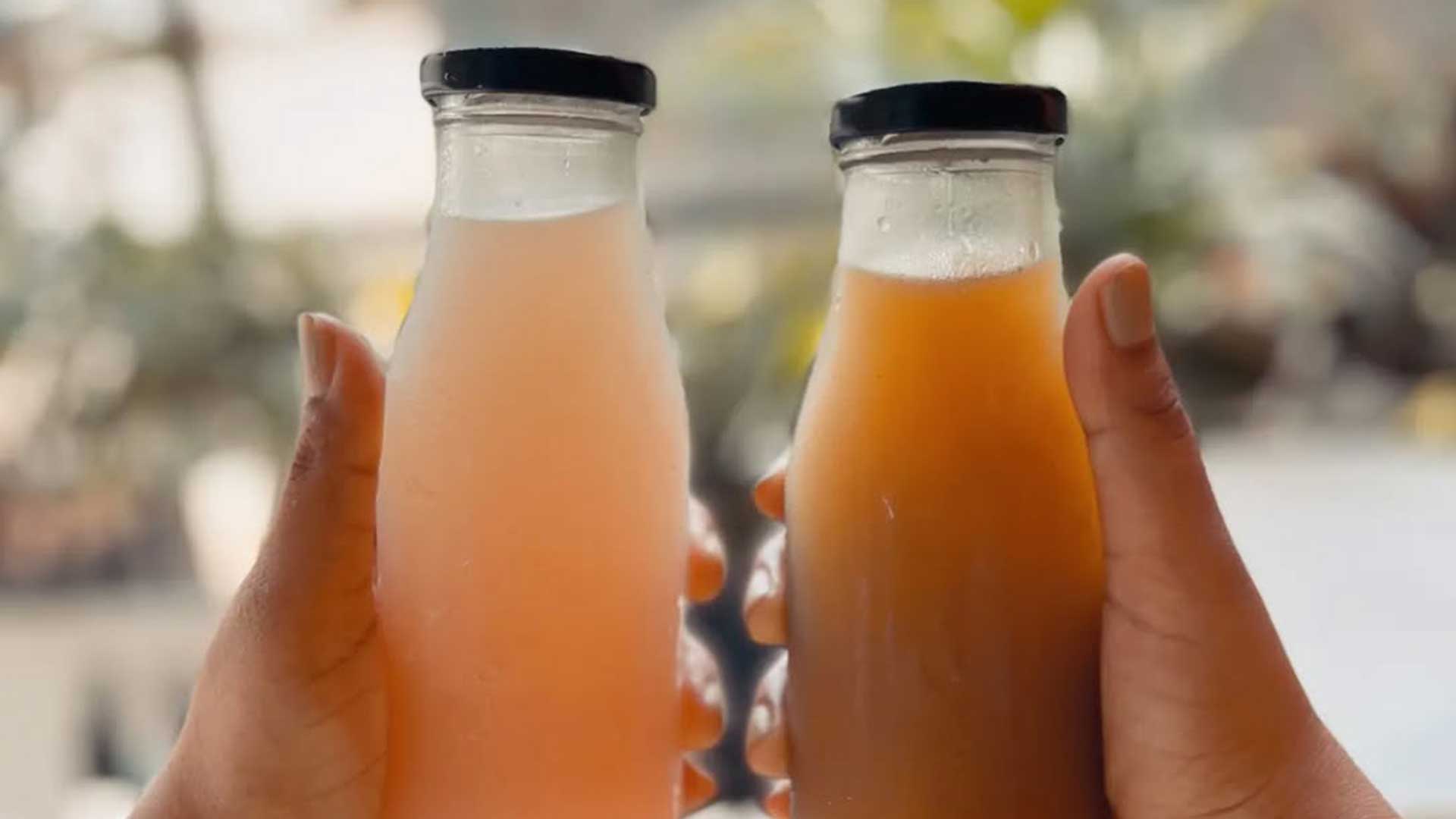 house made kombucha served at bombay taco company in bandra and nesco