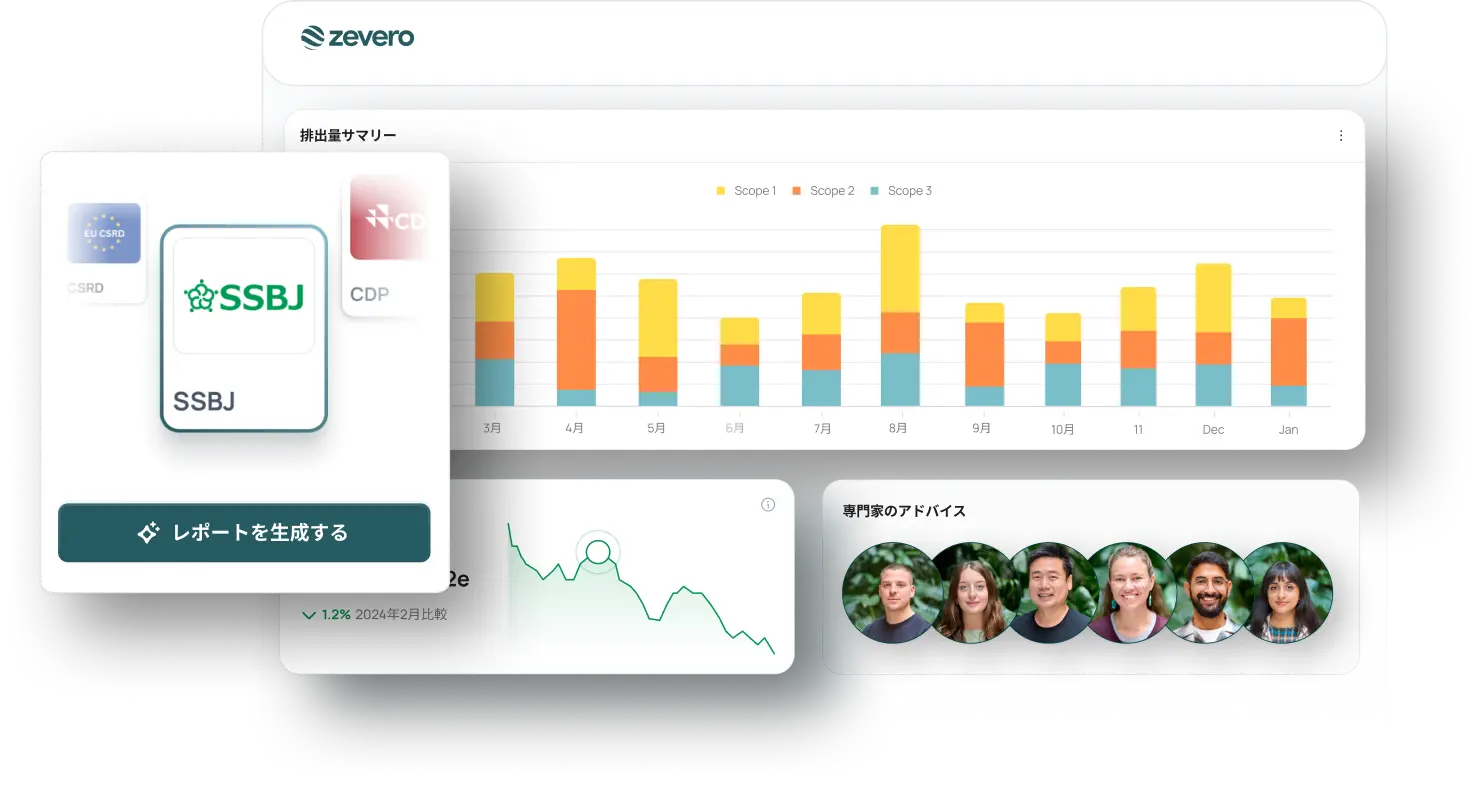 Team statistics dashboard.