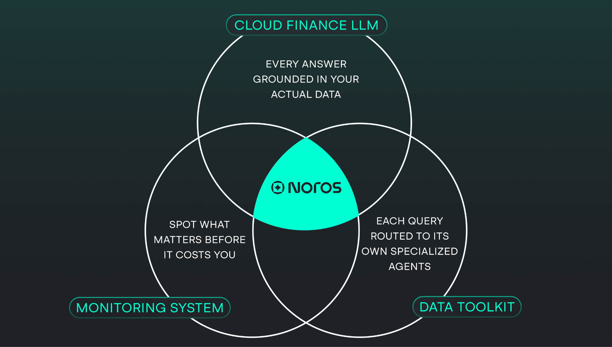 Noros AI cloud cost management platform diagram showing three integrated systems: cloud finance LLM, proactive monitoring system, and data toolkit for cloud spend analysis.