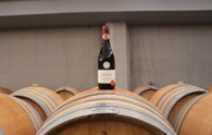 Vinescence