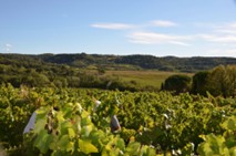 Domaine du Séminaire