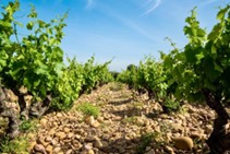 Domaine de la Durbane