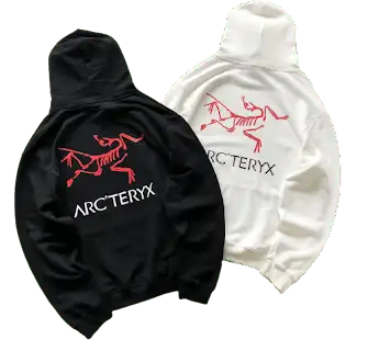 Palace x Arc'teryx Hoodie #2