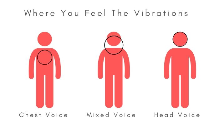 feel your head chest mixed voice