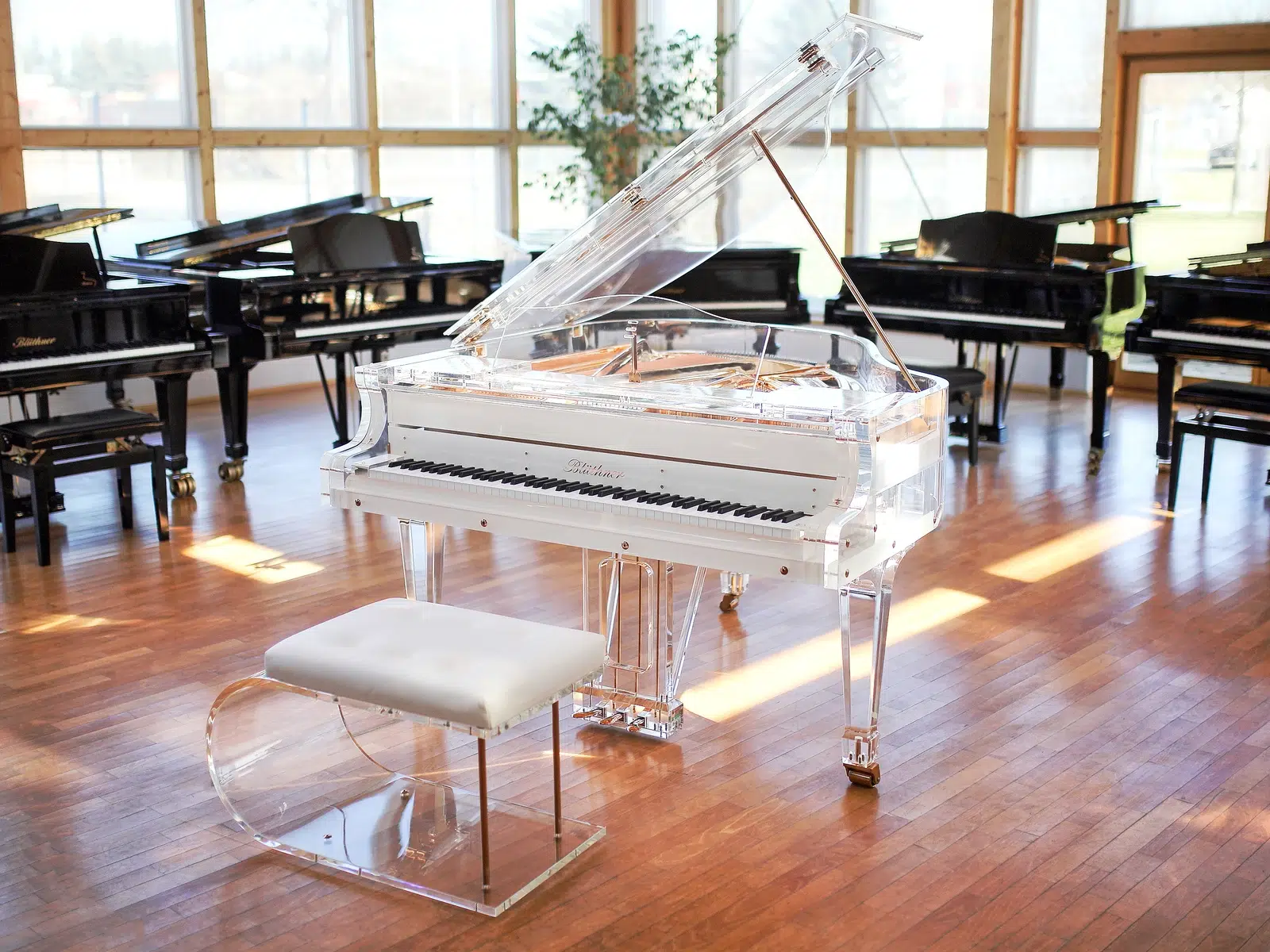 Luxury Pianos | Designer & Custom Grand Pianos for Sale