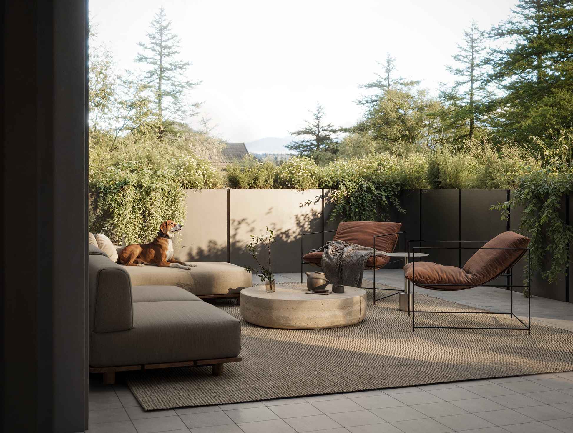 Willa architectural visualization