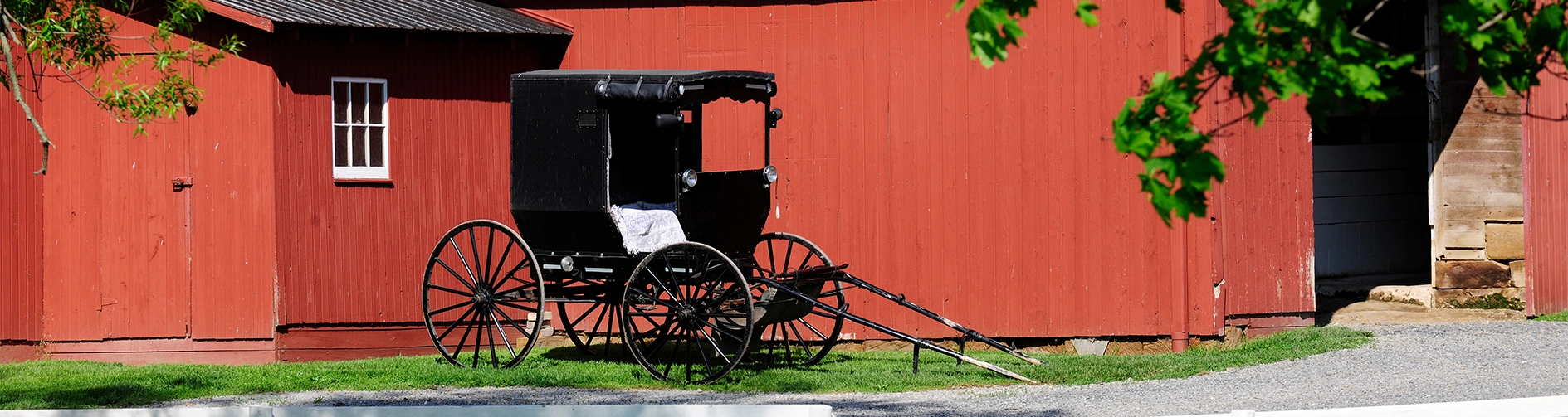 Black Amish buggy parked on grass beside a red wooden barn with a gravel path.