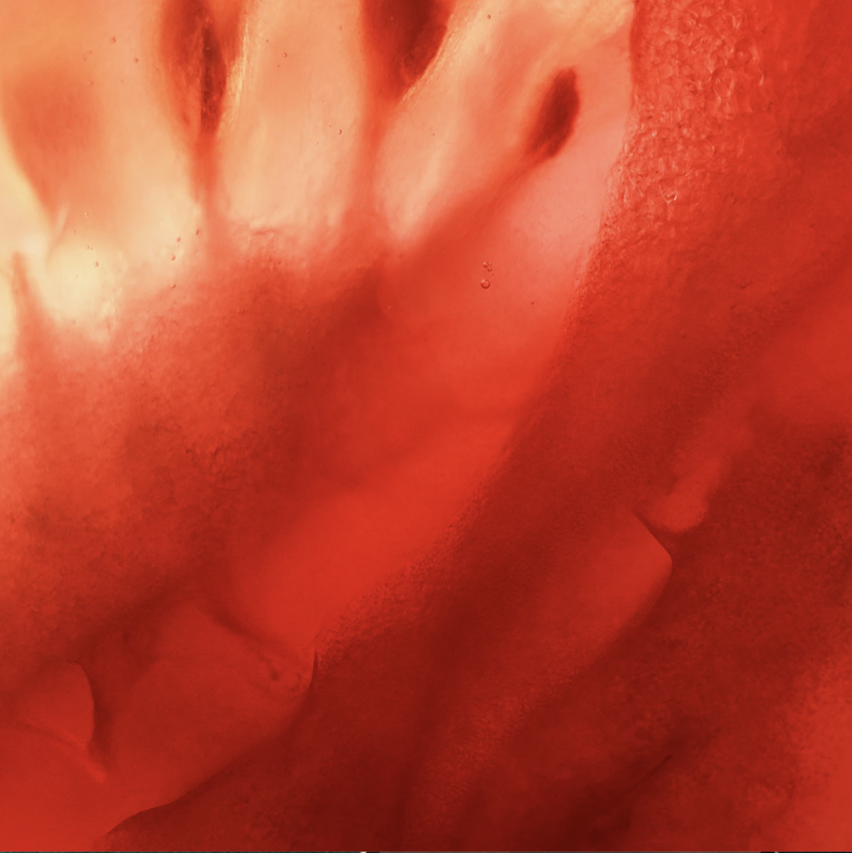 Market Research for Startups: Practical Methods, Tools, and Ready-to-Use Templates