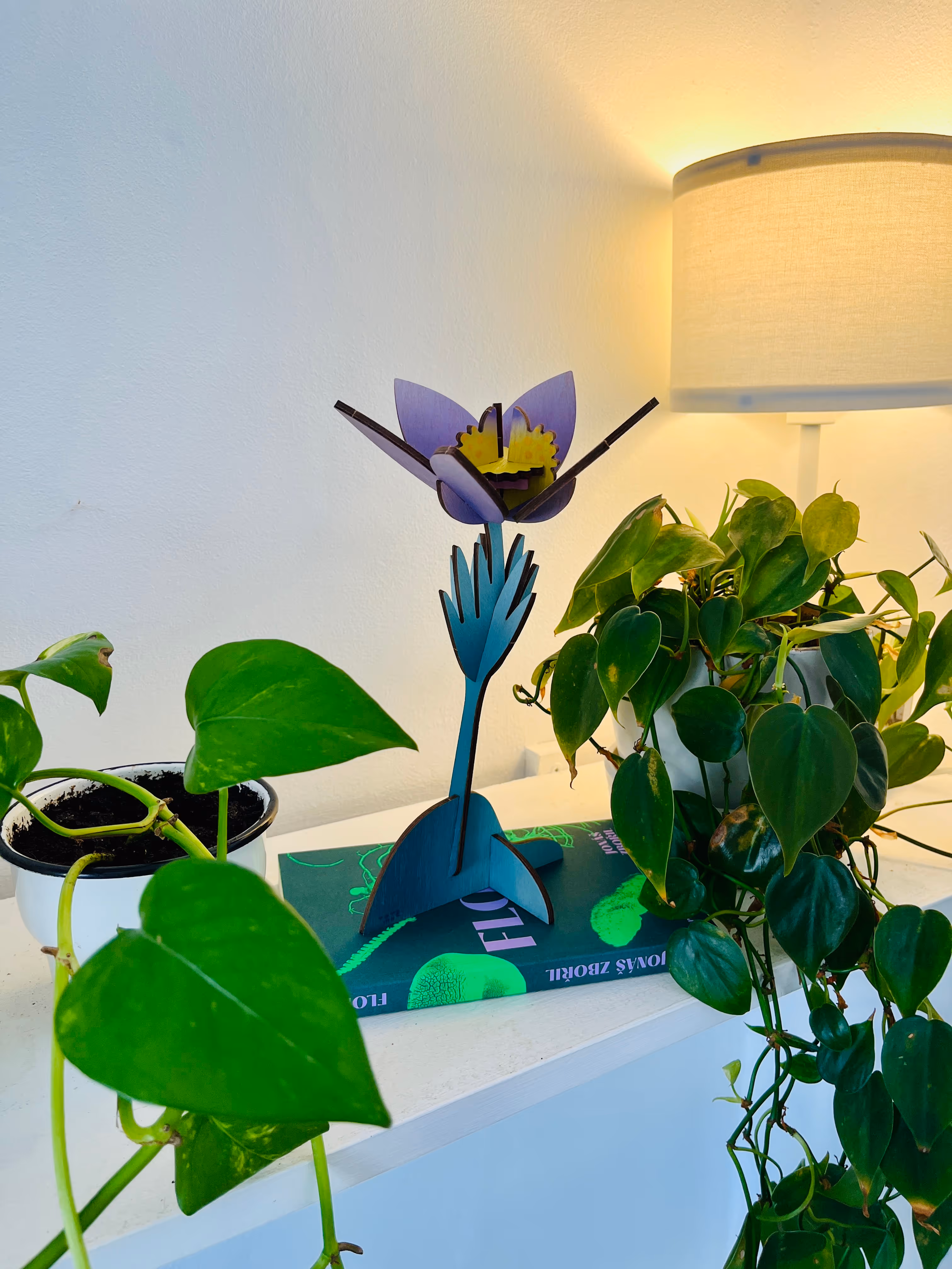 Květina – Koniklec