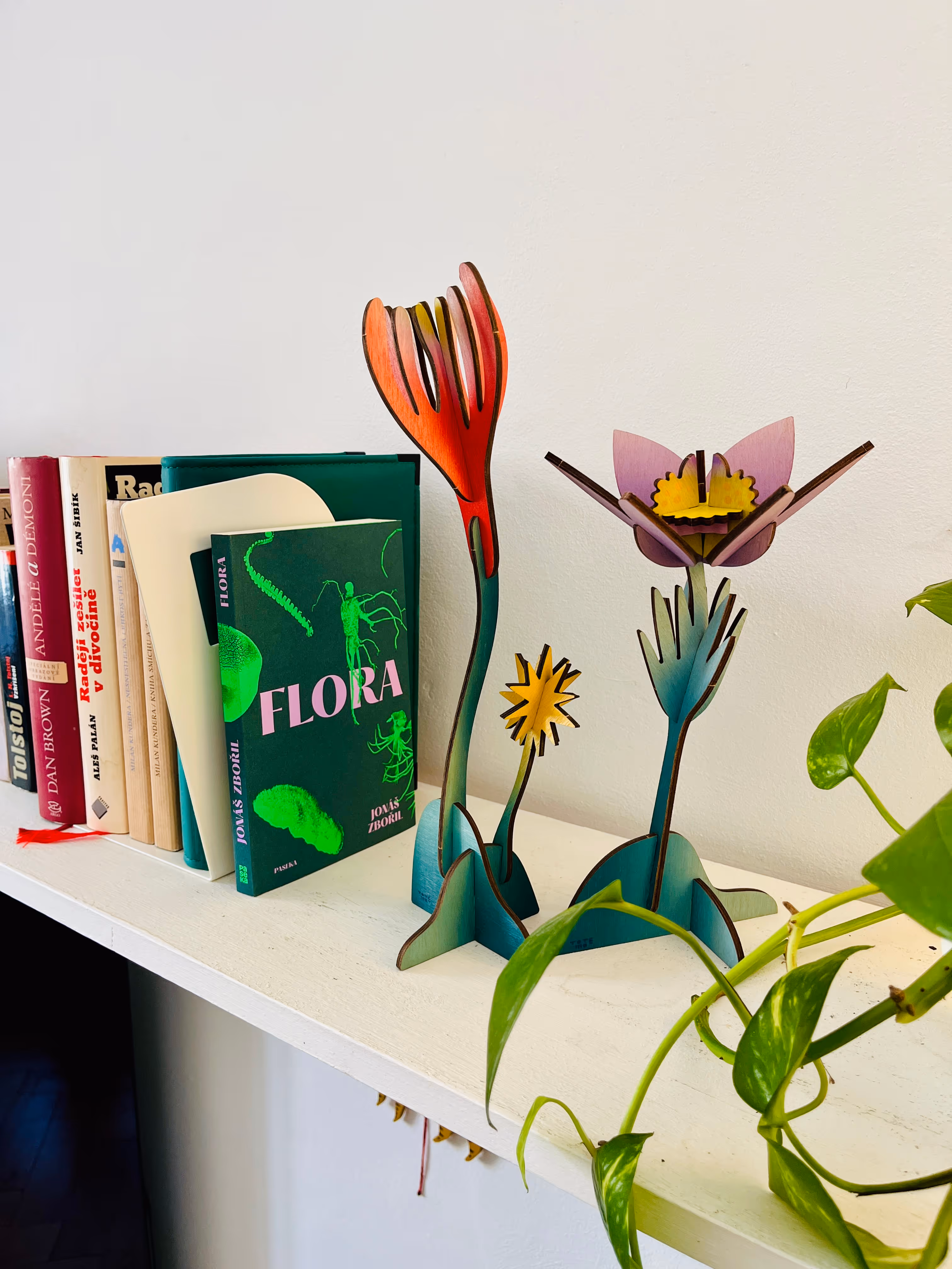 Květina – Koniklec