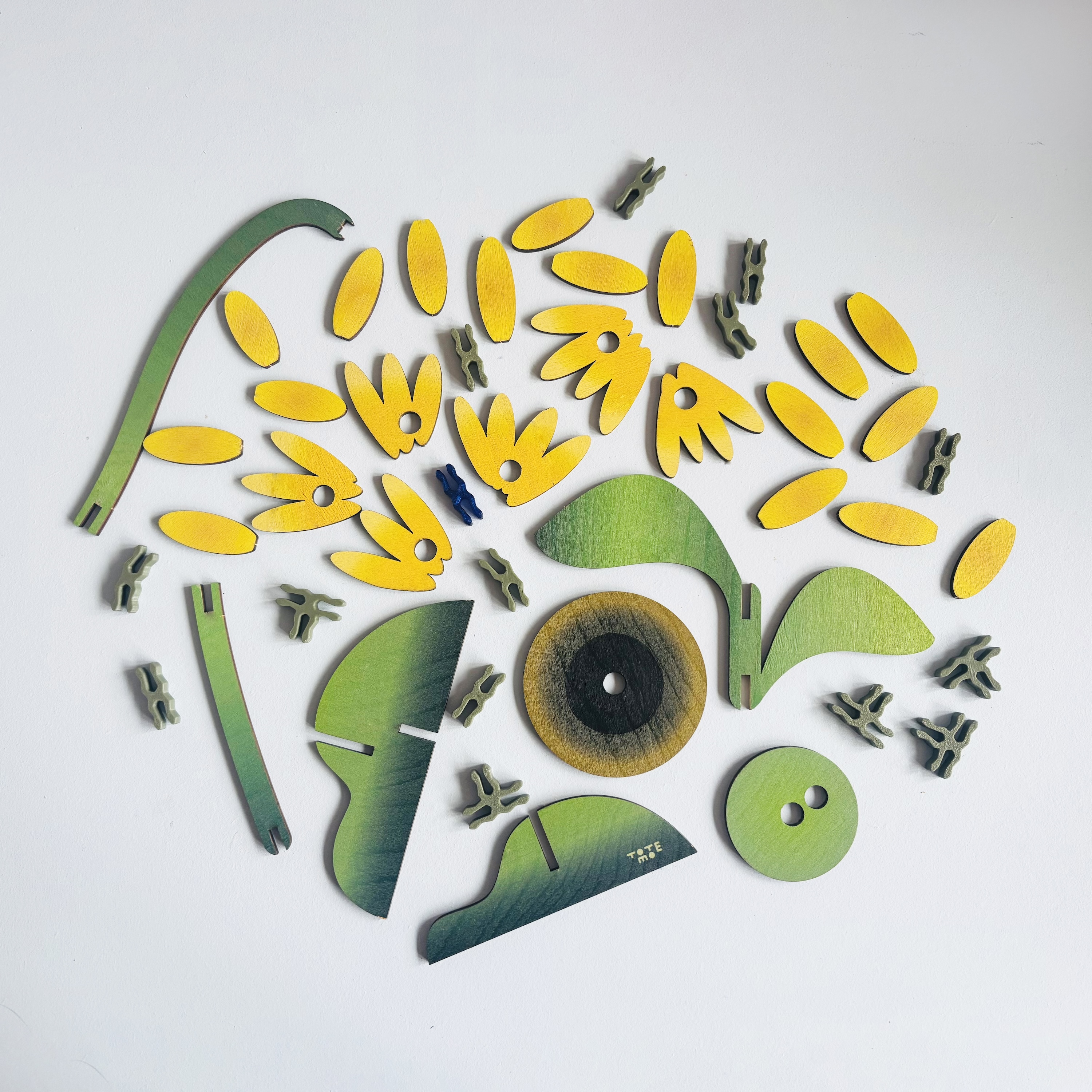 Květina - Slunečnice