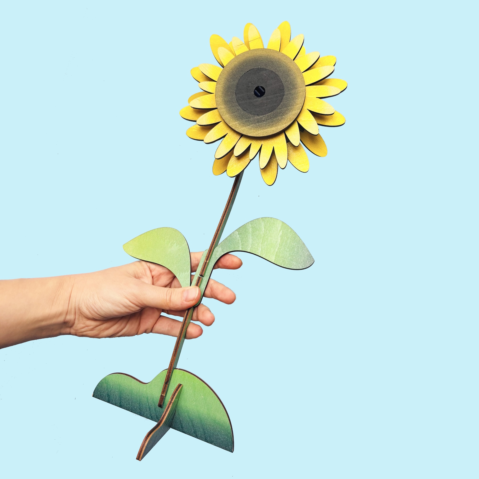 Květina – Slunečnice