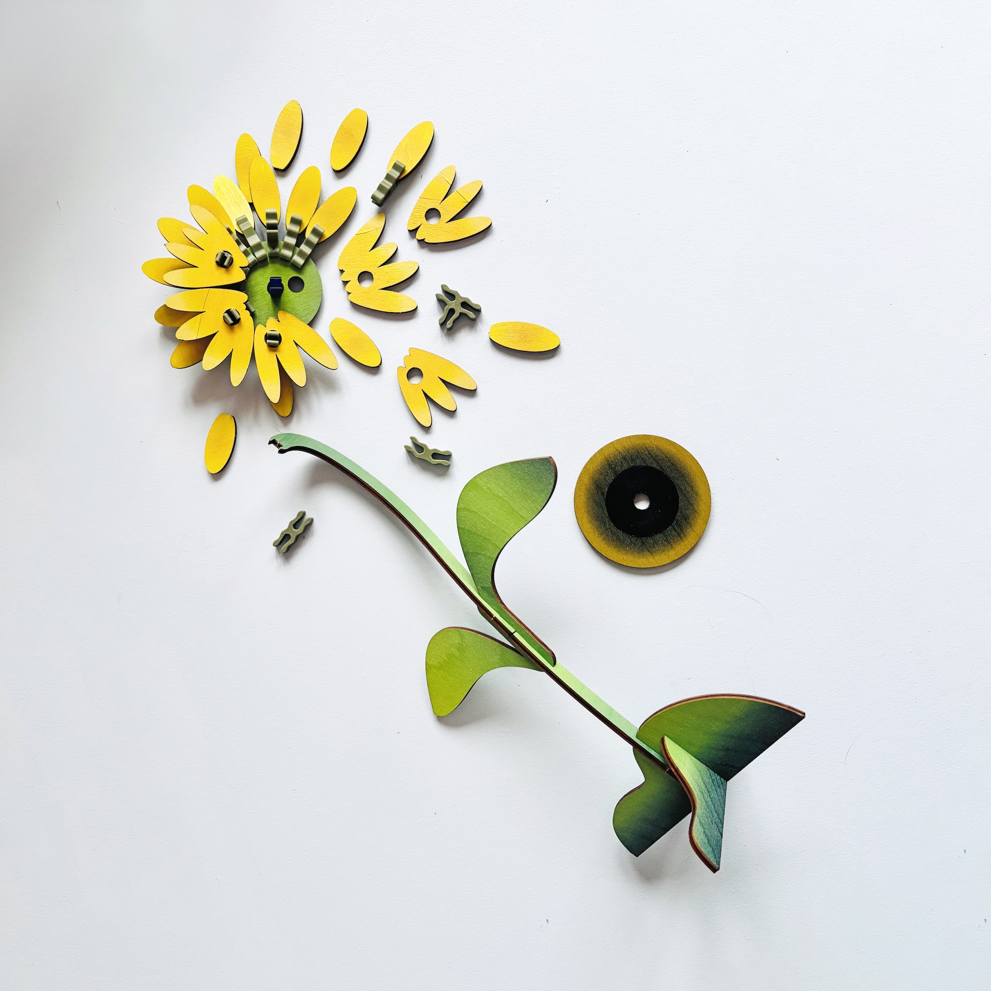 Květina – Slunečnice