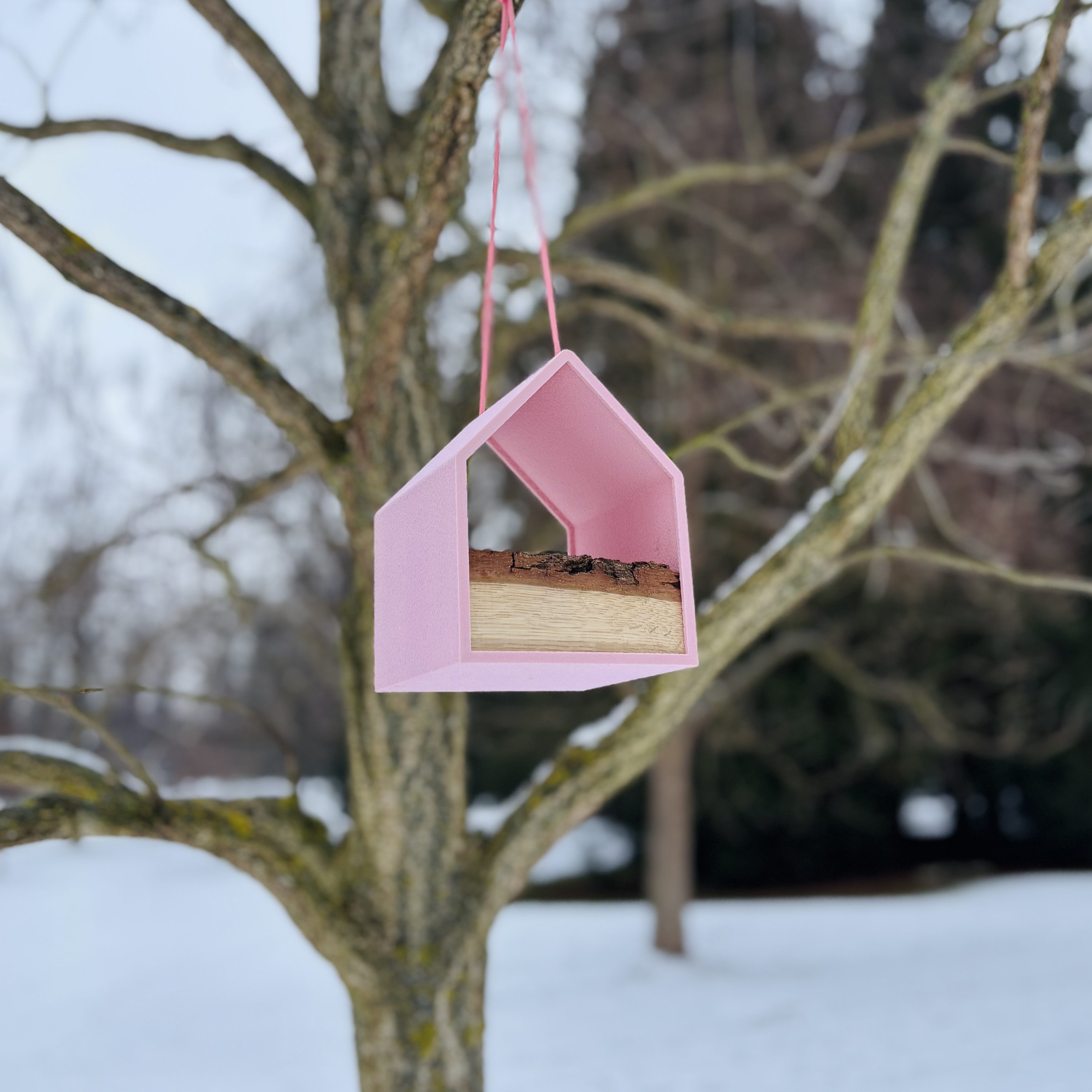 Ptačí garsonka - krmítko – Růžové