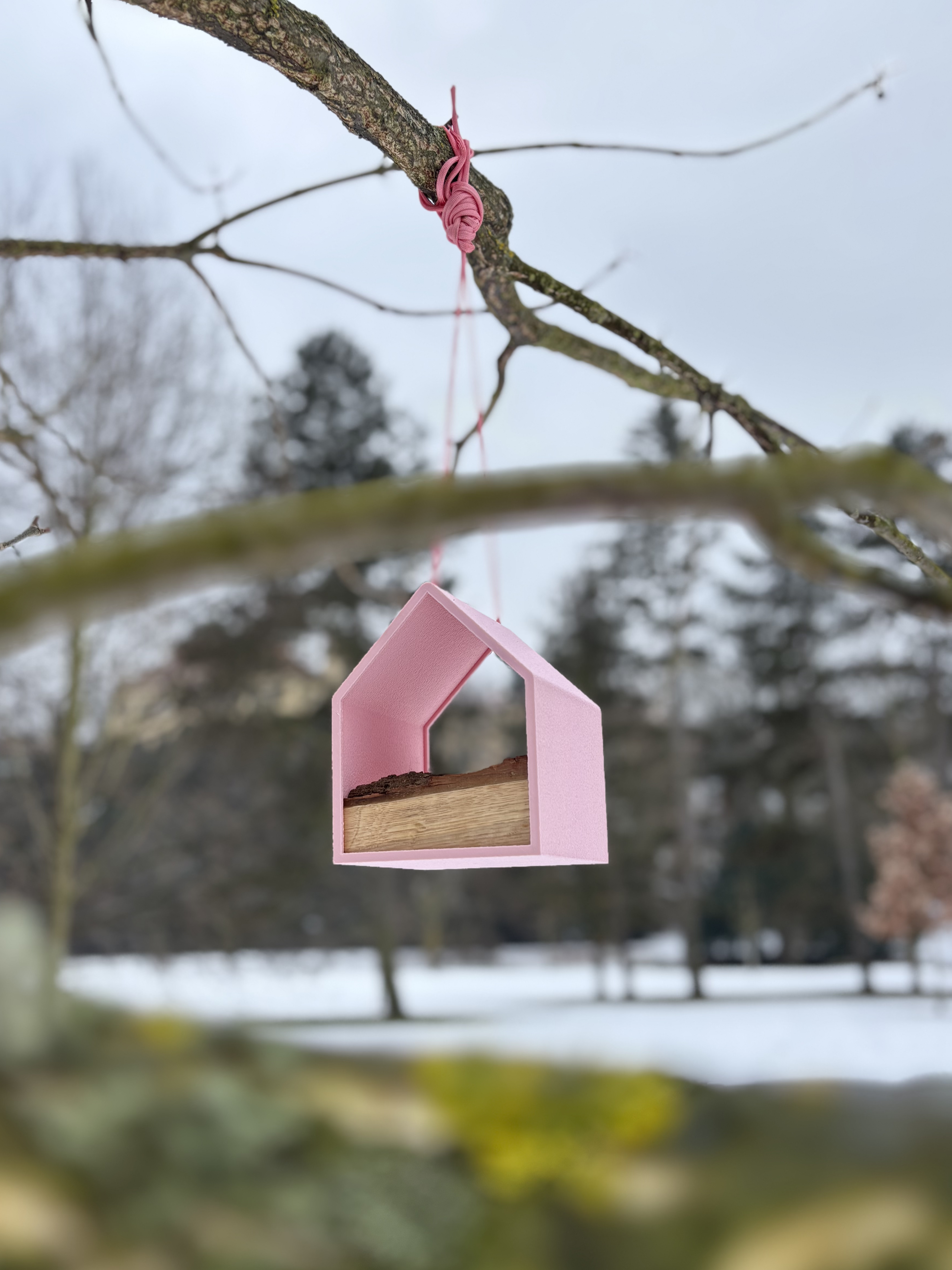 Ptačí garsonka - krmítko – Růžové