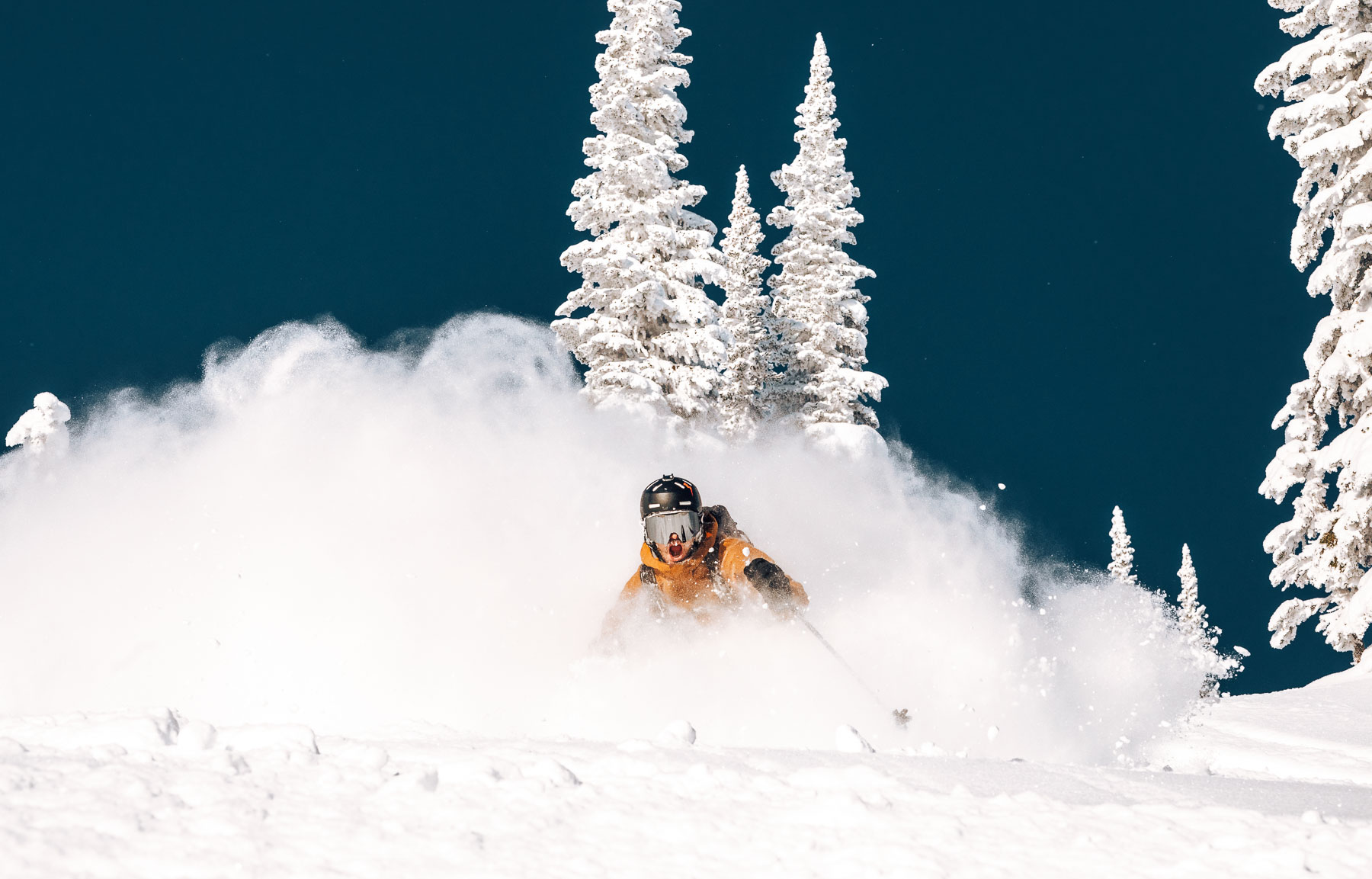 Powder skiing in Mica Heli-Skiing’s mountain terrain