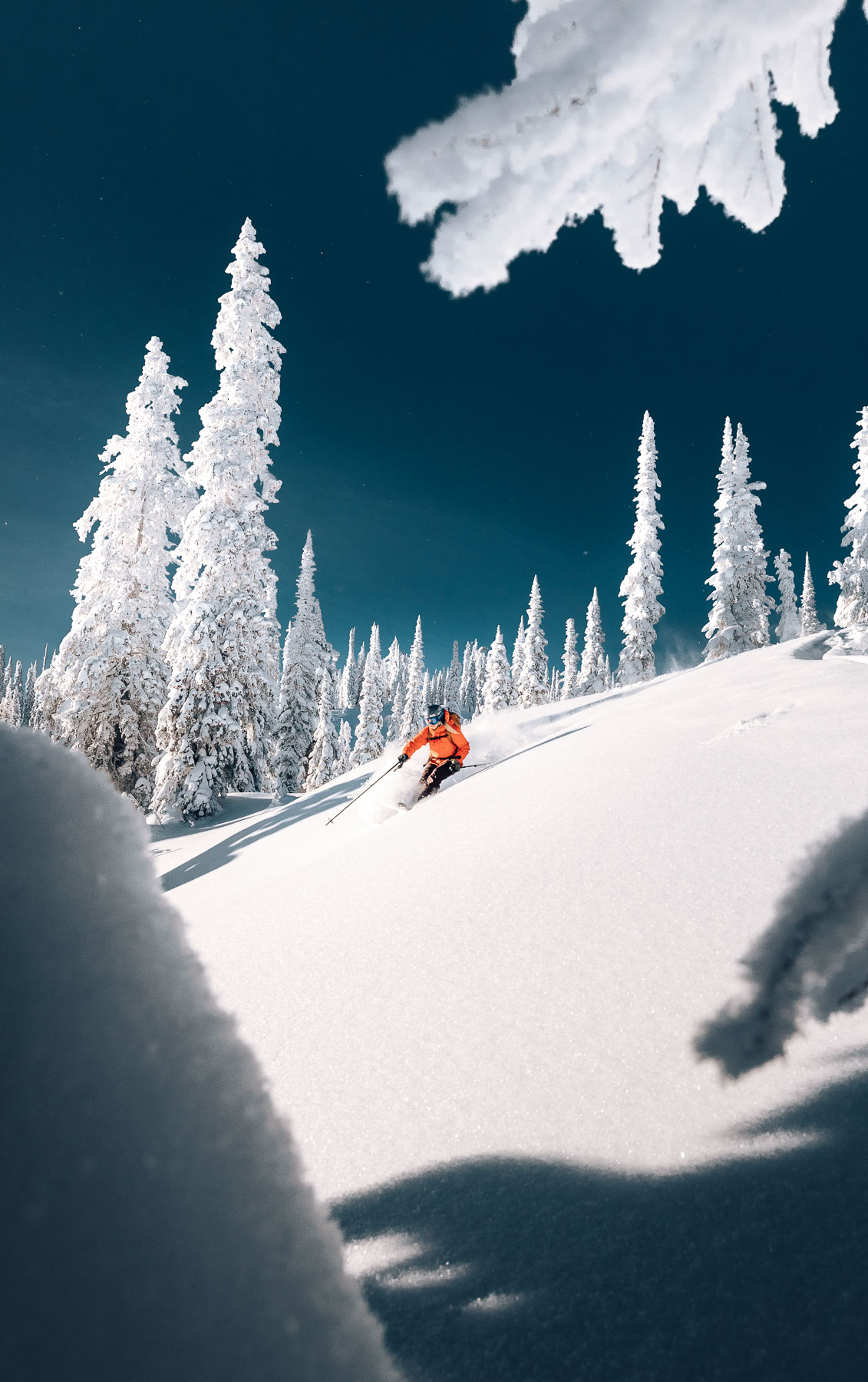 Powder skiing in Mica Heli-Skiing’s mountain terrain