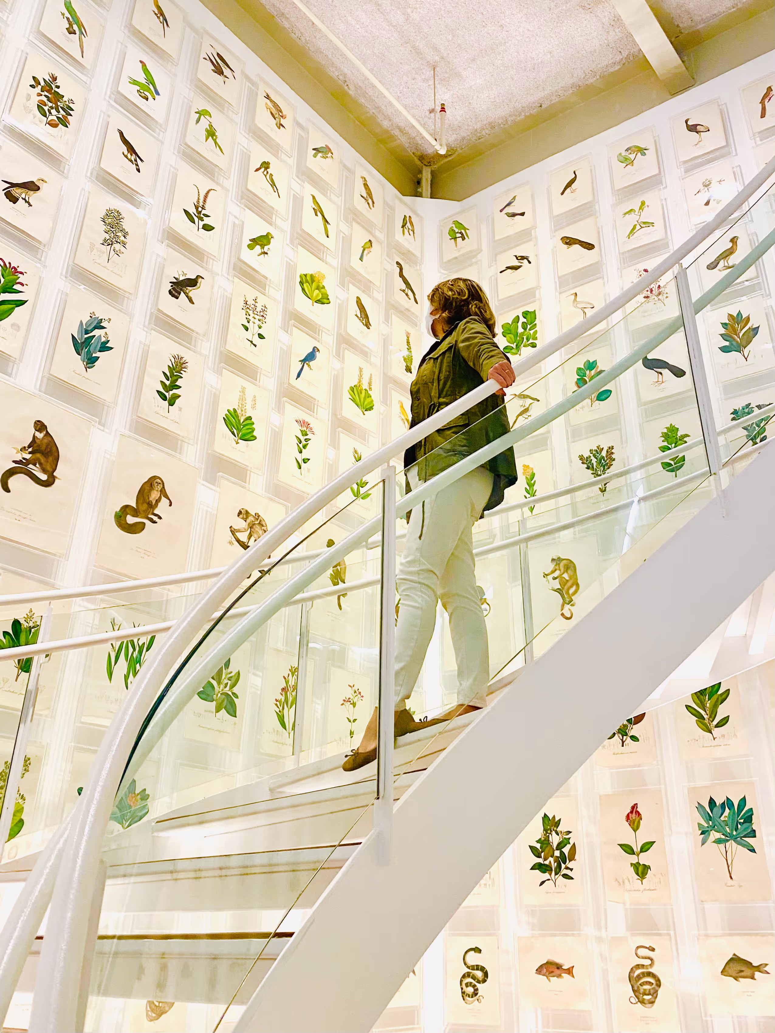 Itaú Cultural São Paulo