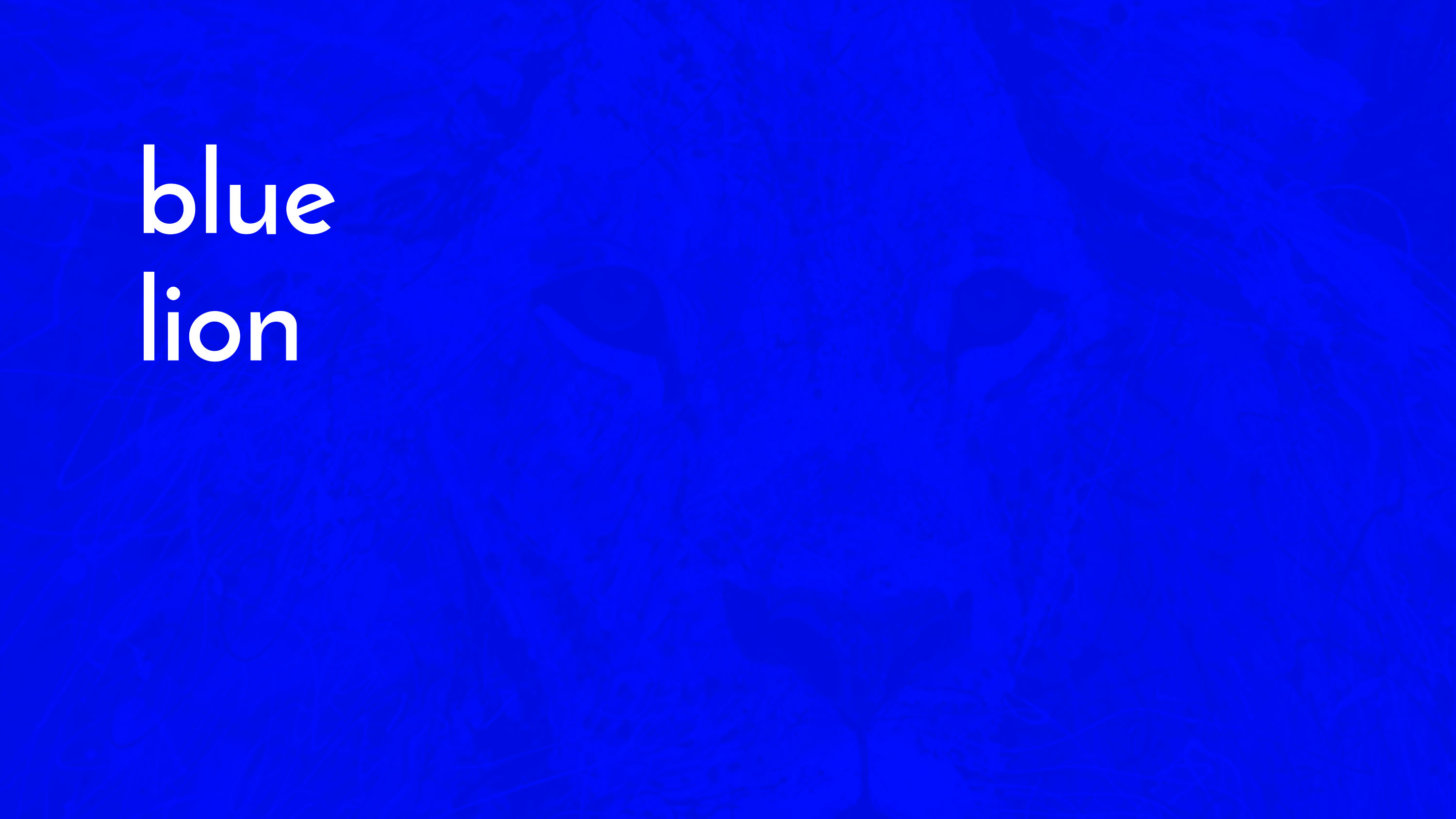 Blue Lion Global photo