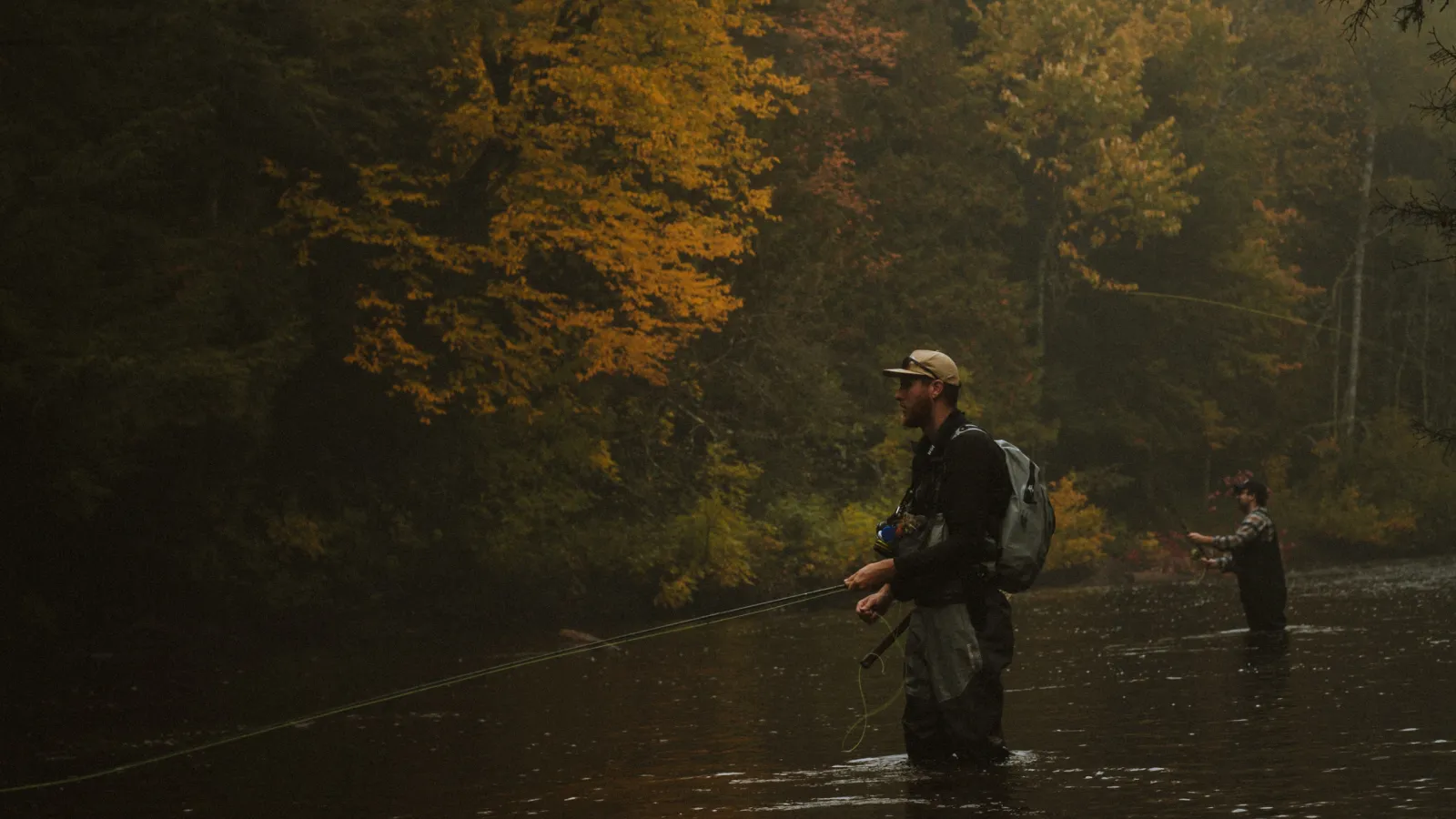 Embedded Coverage vs Traditional Protection: What Businesses Need to Know