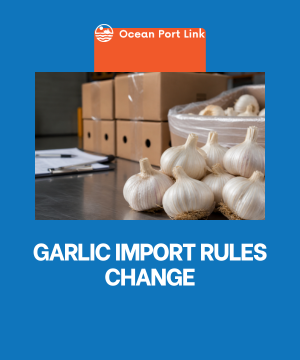 Commercial cartons of fresh garlic prepared for Australian biosecurity inspection