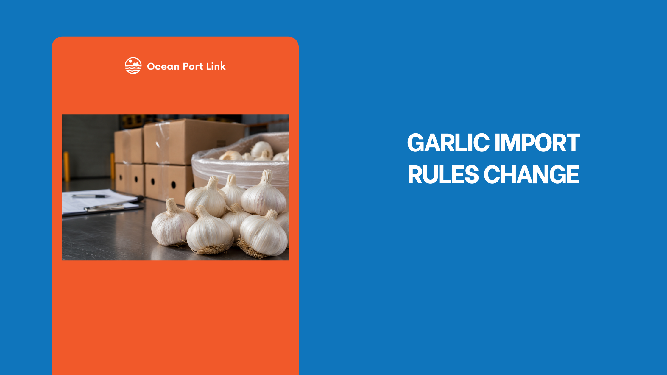 Commercial cartons of fresh garlic prepared for Australian biosecurity inspection