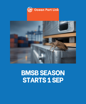 Brown marmorated stink bug risk beside imported machinery cargo bound for Australia
