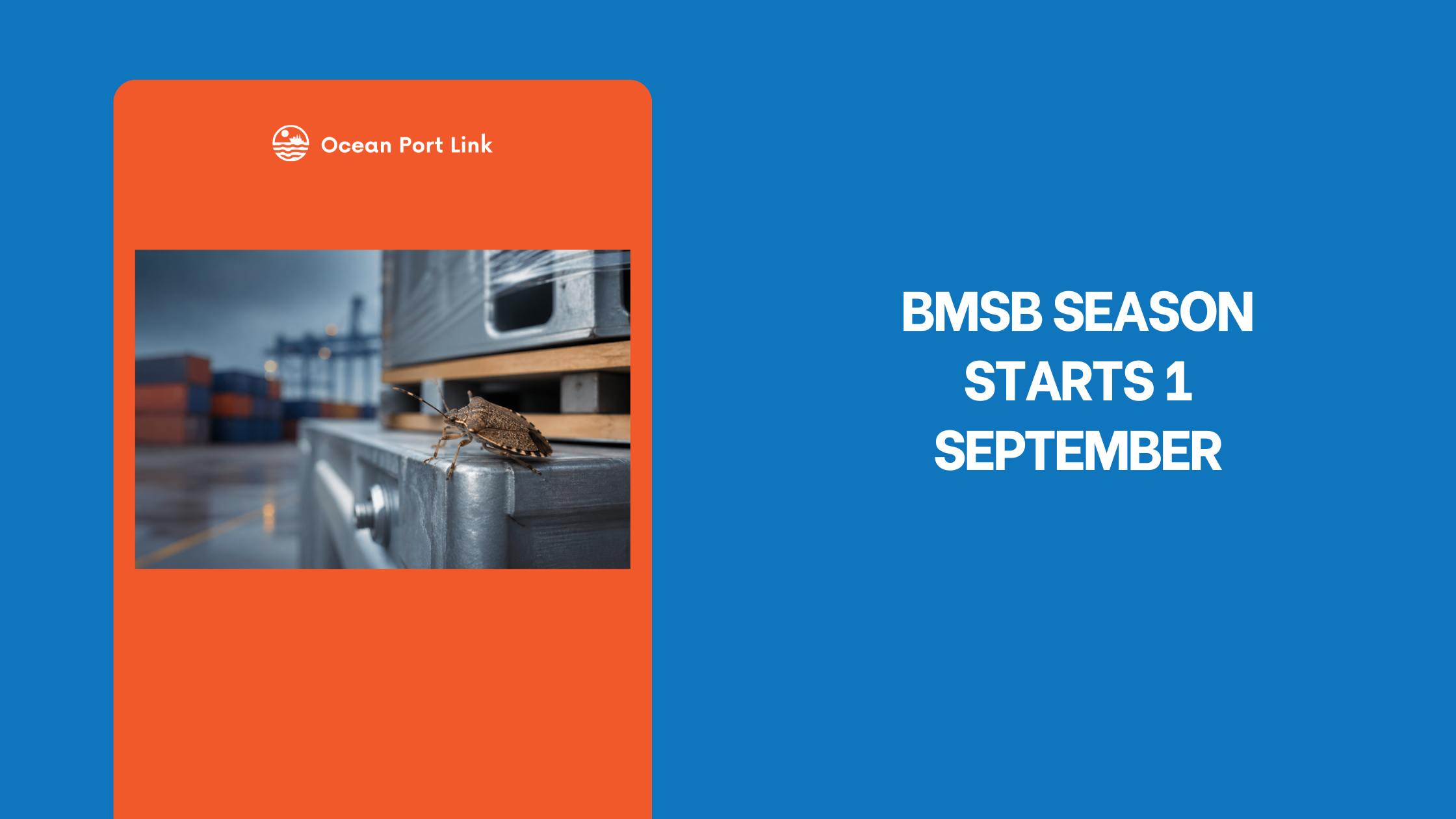 Brown marmorated stink bug risk beside imported machinery cargo bound for Australia