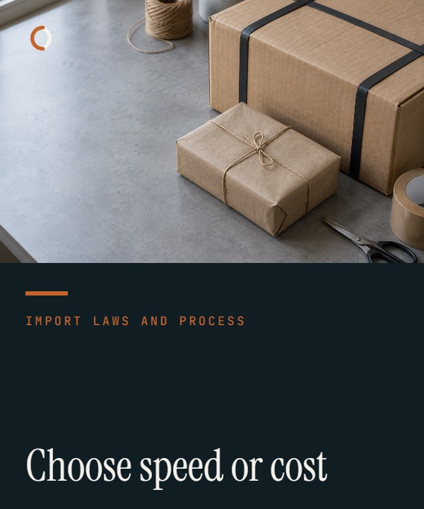 Illustrative air-delivery comparison showing small cartons between an express parcel lane and a palletised forwarder air-freight lane.