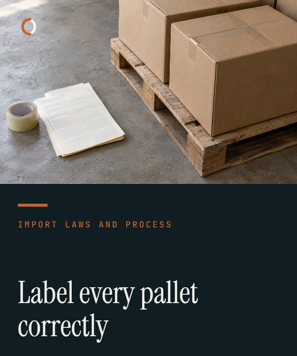 Warehouse worker verifying an SSCC logistics label on an imported pallet.