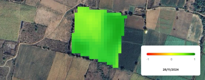 Geospatial mapping to monitor risks, soil health, and irrigation efficiency.