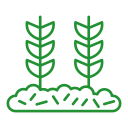 Regulatory Compliance