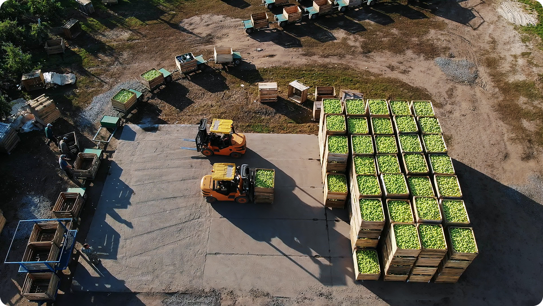 How EUDR Compliance Software Helps Agri-Businesses Export to Europe