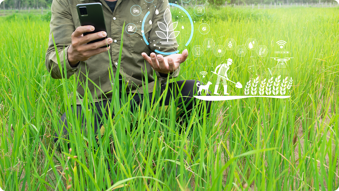 How Technology is Helping Farmers Manage Crops More Effectively