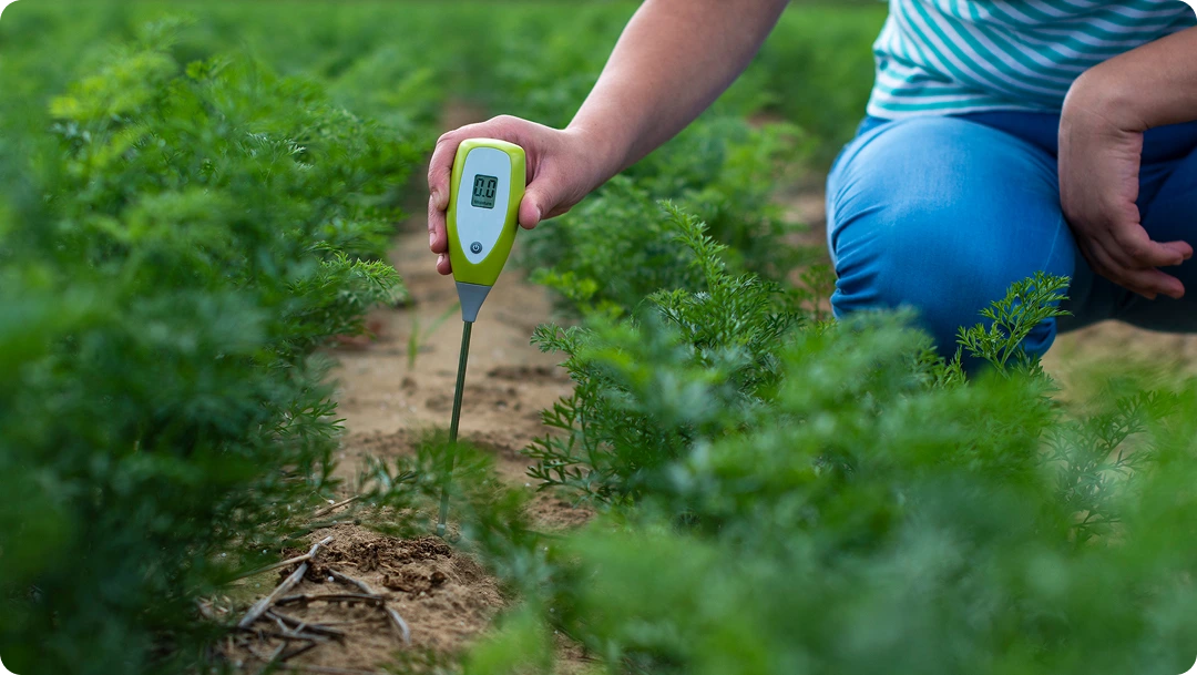 The Impact of Precision Agriculture Technology on Sustainable Farming