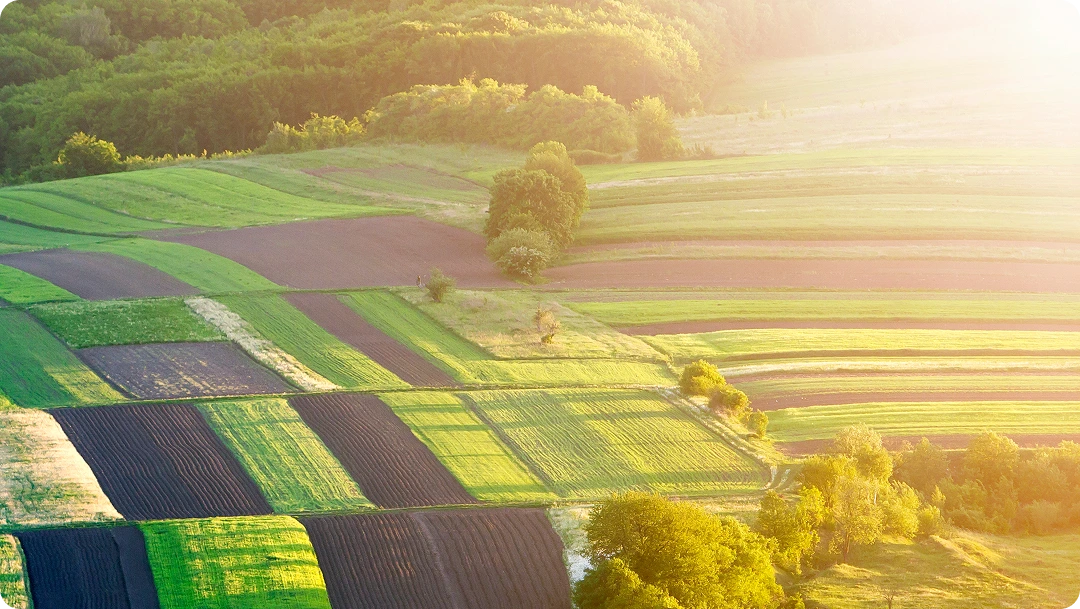 Smarter Farming with Remote Sensing in Agriculture