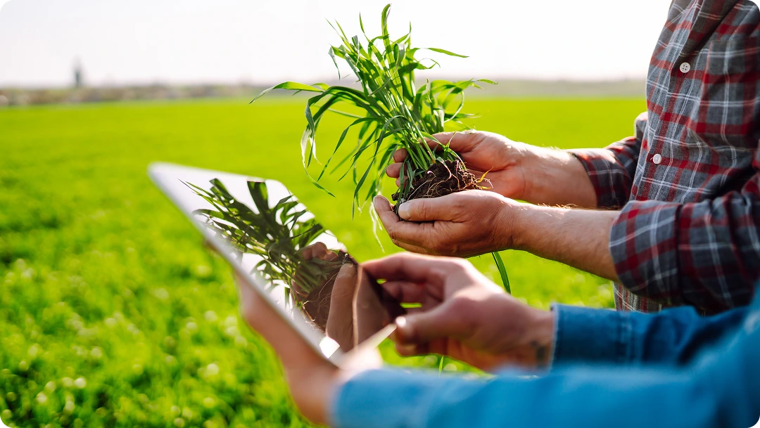 Empowering Agri-Businesses for Sustainable Growth and Innovation 