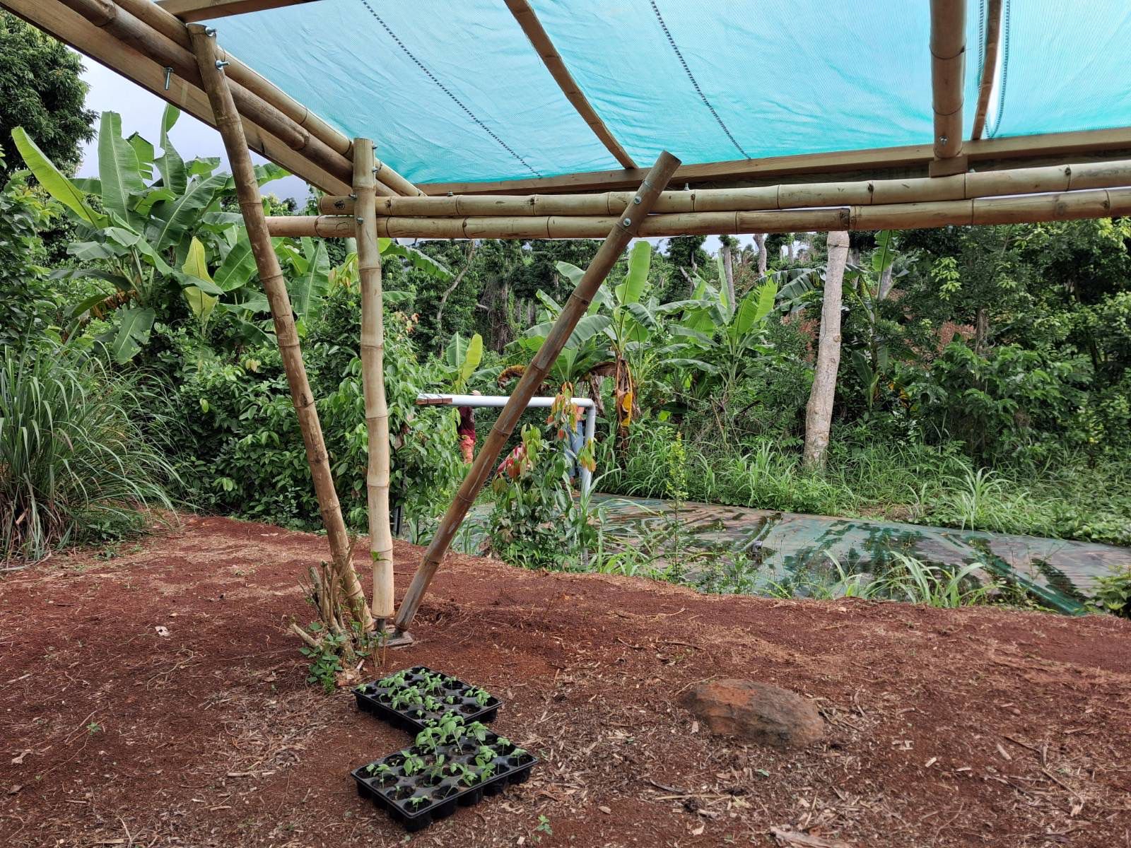 Mayotte-january 2026