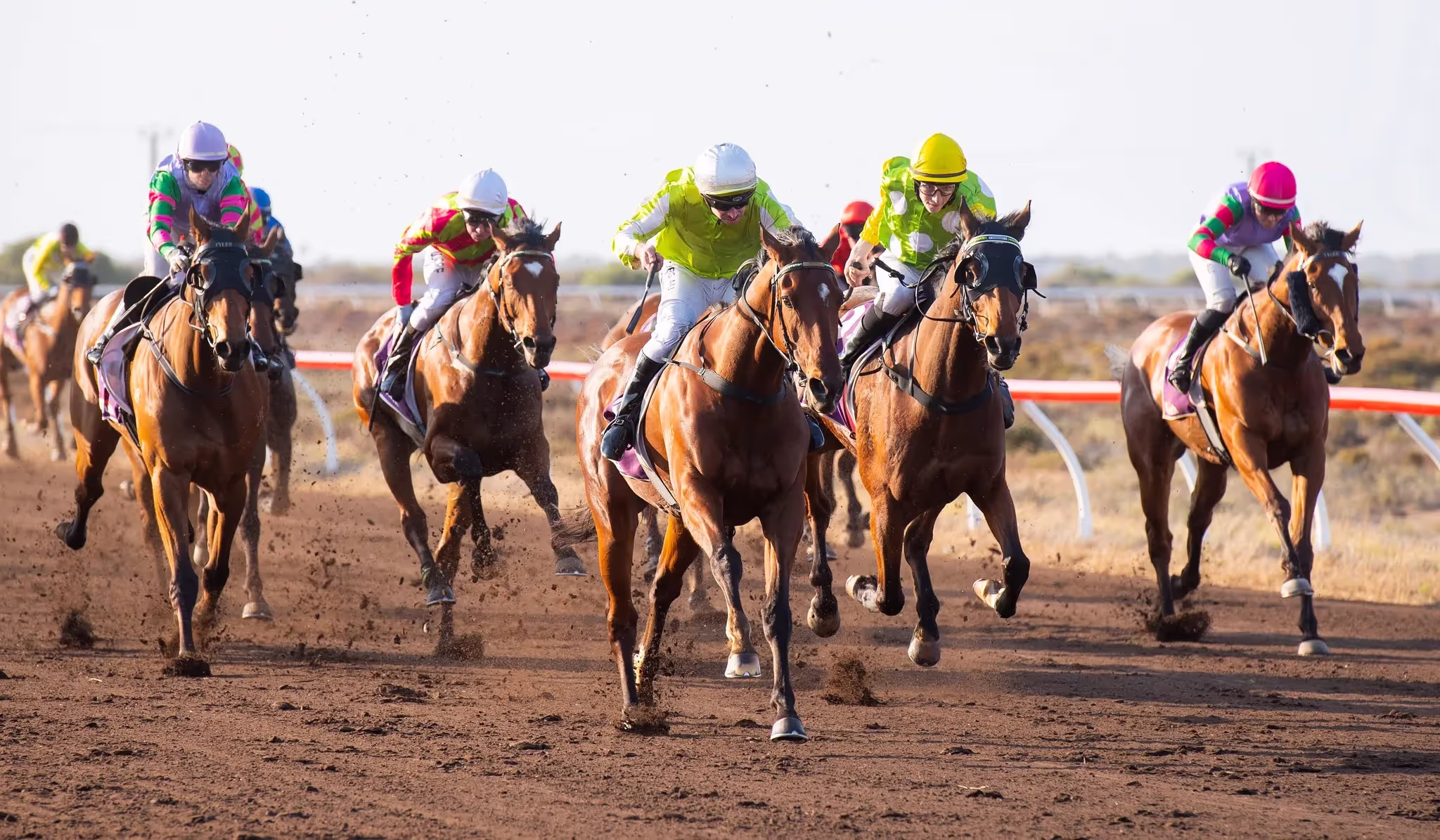 horses with riders racing at final leg