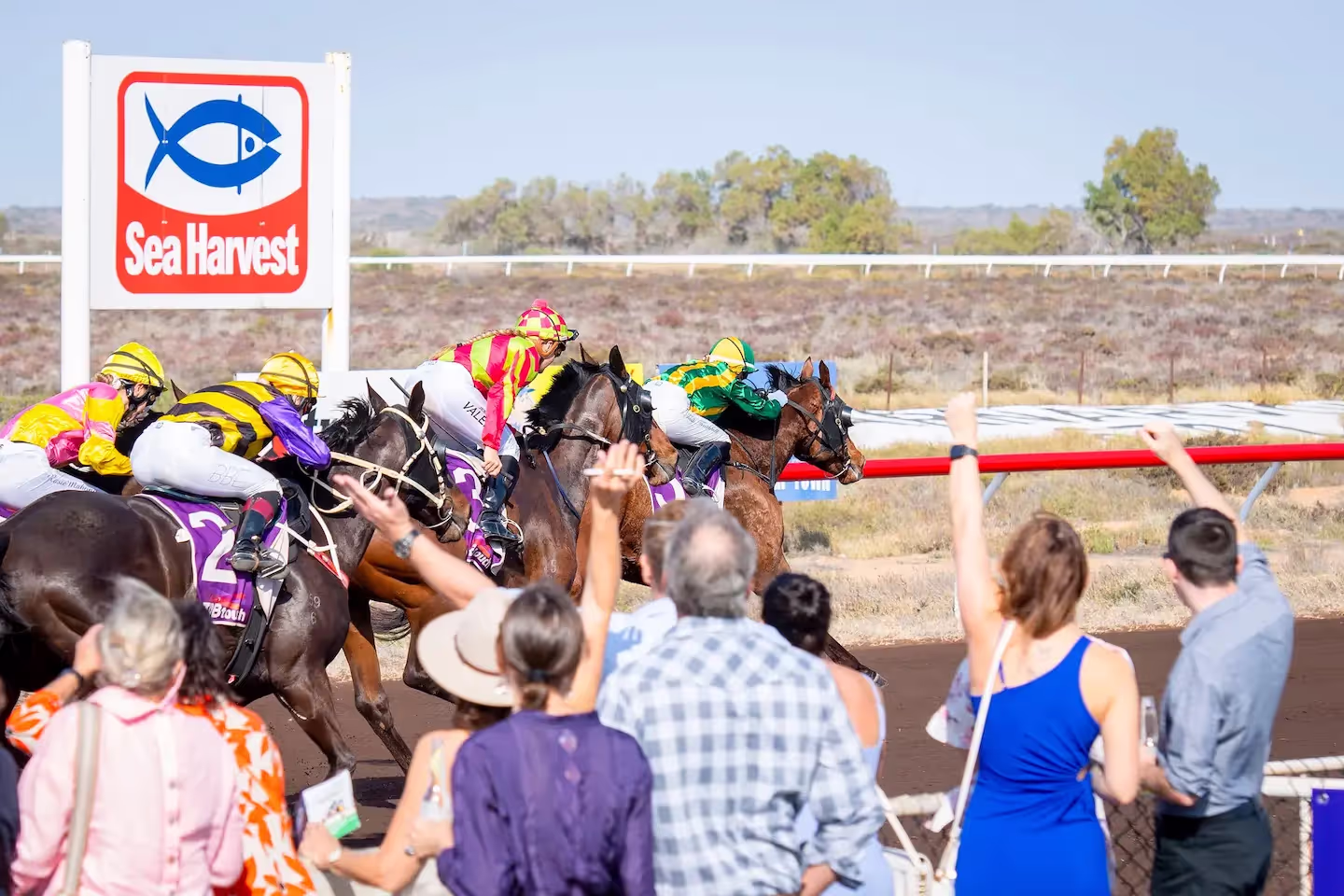people cheering at horse race