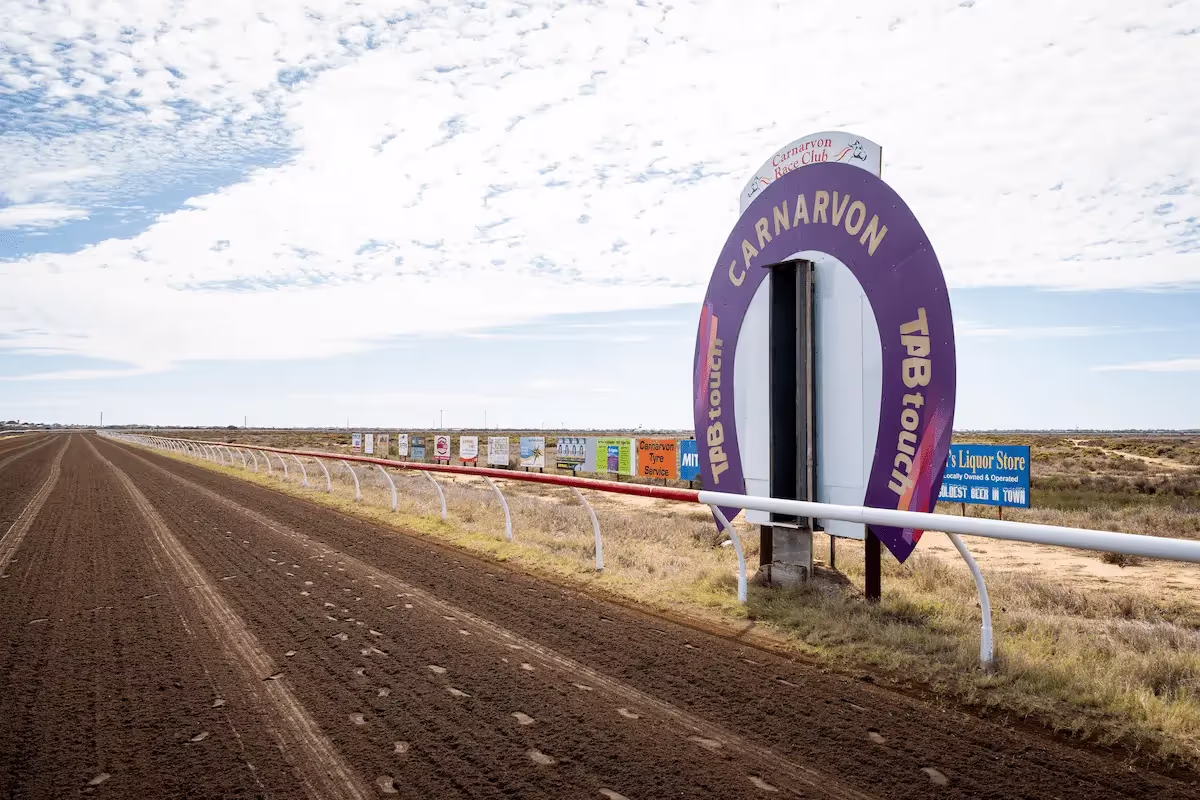 horse race finish line and final leg